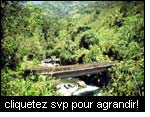 Amnagement de petits bassins-versants pour la rgulation du cycle hydrologique, Projet OIBT PD 54/99 (2002), San Nicols – Rio Negro, Colombie.