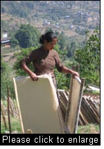A woman employee of the Bhimeshwor processing unit, Dolakha District, Nepal, drying raw paper made from Lokta (Daphne spp), sourced from local Community  The enterprise is supported through the Nepal Swiss Community Forestry Project. (Photo: Jane Carter, Intercoopertation (IC-HO), April 2008)