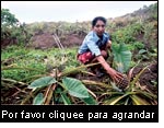 Si las mujeres tienen el derecho a la tenencia de la tierra, podrn producir y proveer suficientes alimentos para ellas y sus familias. Seora en Nueva Segovia, Nicaragua. (Foto: Manuel Fandio, Revista Enlace)