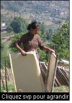 Une femme employée dans l’unité de transformation du papier Bhimeshwor, District de Dolakha, Népal. Séchage du papier brut tiré de la fibre Lokta (Daphne spp) par les groupes d’utilisateurs locaux des forêts communautaires. L’entreprise est appuyée par le Nepal Swiss Community Forestry Project. (Photo : Jane Carter, Intercoopertation (IC-HO), avril 2008)
